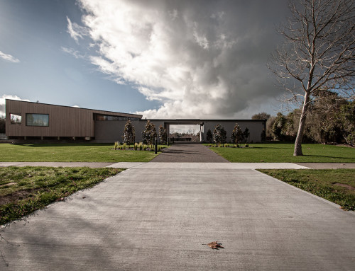 Peek of Curiosity | Martinborough Estate | Wairarapa